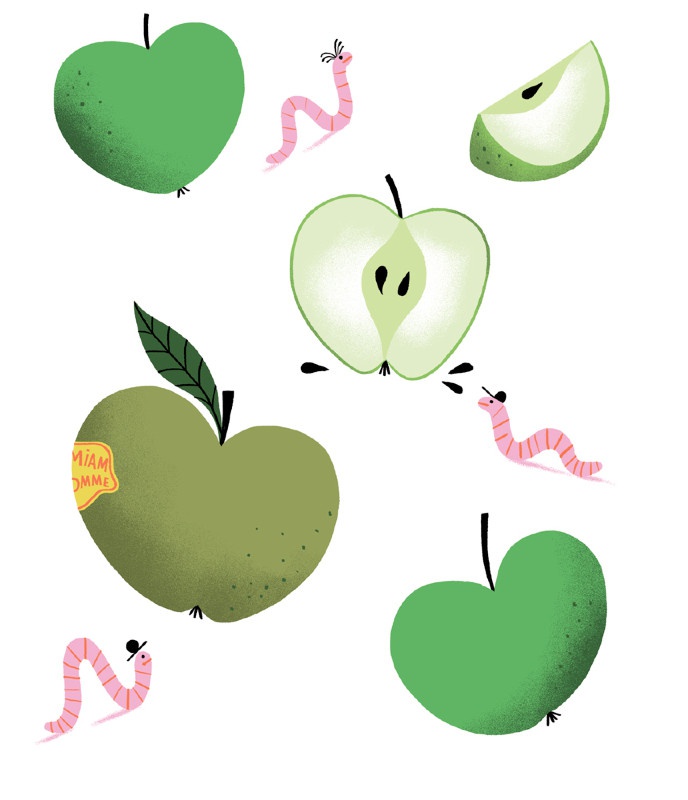 illustration amelie faliere pommes.jpg - Amlie FALIERE | Virginie